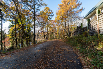 Historic old road &ldquo;Salt Road&rdquo; which is also a long distance hiking course and its surroundings