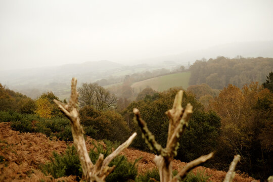 Dartmoor Landscape