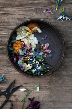 Collection of trimmed flowers in pan