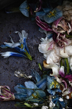 Passing by trimmed flowers