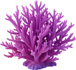 The vibrant coral exhibits stunning colors and intricate textures, thriving in a healthy marine ecosystem. 