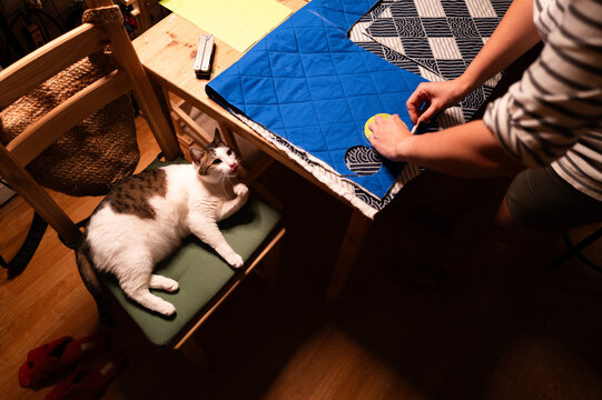 Cat Relaxing on Chair Beside Sewing Workspace
