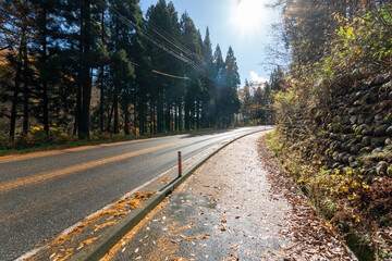 Historic old road “Salt Road” which is also a long distance hiking course and its surroundings