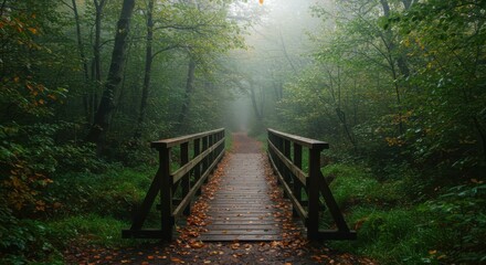 Misty forest path, wooden bridge, foggy atmosphere, lush green foliage, ethereal light, mystical woodland, nature photography, moody landscape, enchanted forest, dappled sunlight, mossy trees, atmosph