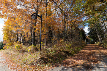 Fototapeta premium Historic old road “Salt Road” which is also a long distance hiking course and its surroundings
