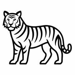 tiger vector illustration