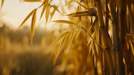 Golden bamboo grove sunset, tranquil scene, nature backdrop