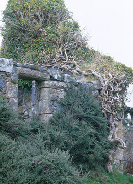 Cill Chriosd Abbey Isle of Skye Scotland film capture spring