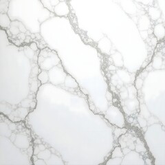 A mesmerizing white marble background with intricate silver veins