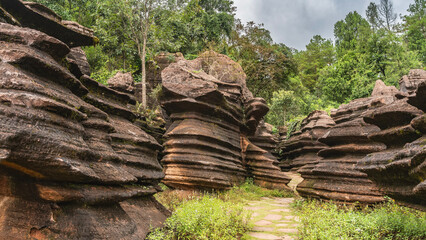 Bizarre karst formations. Amazing red-brown rocks with uneven, undulating steep slopes. A footpath winds between the cliffs. Grass, wildflowers in the meadow. Green trees. China. Red Stone Forest  