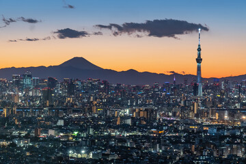Tokyo Skyline with Skytree and Mount Fuji at Night