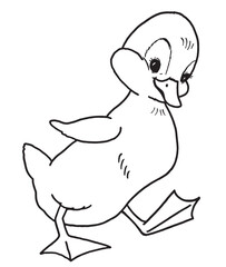 Cute Baby Duck, Retro Vector Illustration