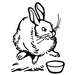 Cute Bunny Rabbit, Retro Vector Illustration