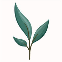 Elegant Hand-Drawn Magenta Floral Elements