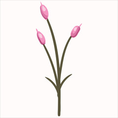 Elegant Hand-Drawn Magenta Floral Elements