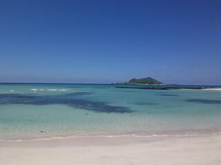 tropical beach with palm trees
