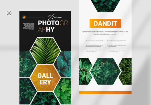 Photography News LetterT emplate