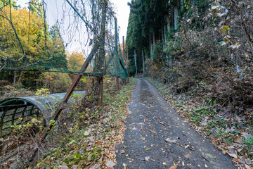 Historic old road “Salt Road” which is also a long distance hiking course and its surroundings