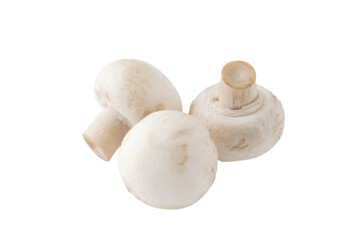 透明背景（png）にホワイトマッシュルーム