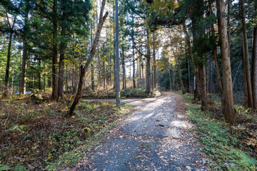 Fototapeta premium Historic old road “Salt Road” which is also a long distance hiking course and its surroundings