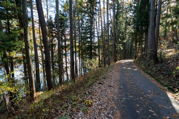 Historic old road “Salt Road” which is also a long distance hiking course and its surroundings