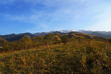 A mountainous area with various trees and fir trees. Akbulak Gorge. Autumn. Yellow leaves.