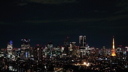 Obraz premium 展望台から見た、都心の夜景