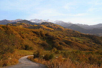 A mountainous area with various trees and fir trees. Akbulak Gorge. Autumn. Yellow leaves.