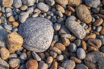 Coastal Pebbles in Golden Light