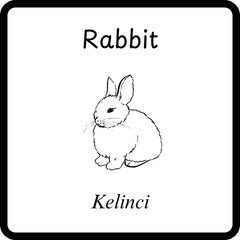 Animals Coloring E Book for Kids - rabbit (3)
