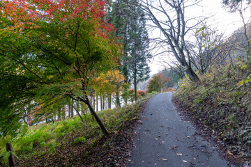 Historic old road “Salt Road” which is also a long distance hiking course and its surroundings
