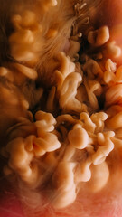 Smoke swirl. Paint flow. Brown orange pigment floating mix in blur water. Abstract mystic artistic haze mist texture background.