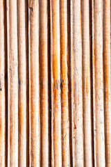 Vertical Wooden Lumber Texture Background.