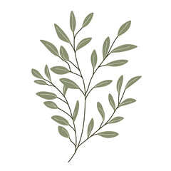 Fototapeta premium flowers and leaves in pictures illustrator2D