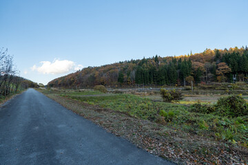 Historic old road “Salt Road” which is also a long distance hiking course and its surroundings