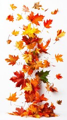 Falling autumn leaves natural scene photography colorful environment vertical view seasonal concept