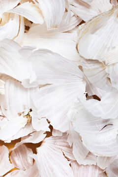 Close-Up of Garlic Peels