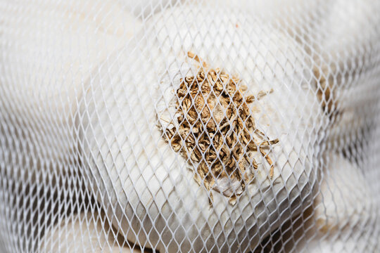 Close-Up of Garlic Bulb in Mesh Bag