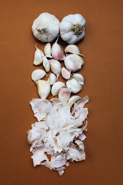 Garlic Bulbs, Cloves, and Peels Composition