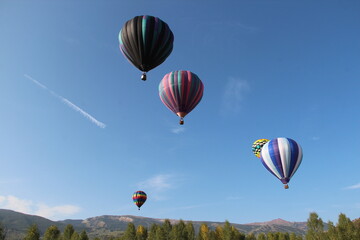 Obraz premium Hot Air Balloon Festival