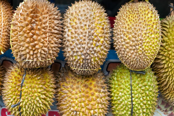 Durian is a tropical fruit distinguished by its large size and spiky, hard outer shell. It has a...
