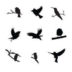 birds silhouette vector set