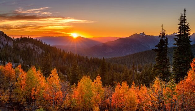 orange forest sunset 2 elkhorn mountains oregon wallowa 94