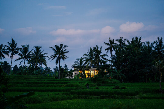 Luxurious villa in Bali surrounded by rice paddies and palm trees