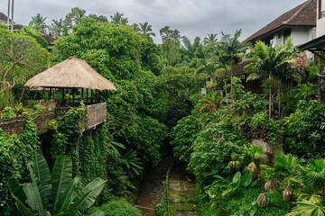 Luxurious resort immersed in the lush vegetation of Bali, Indonesia