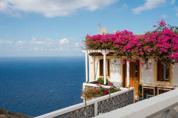 Flowers on the roof of a house with a sea view
