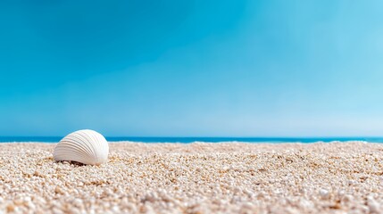 Obraz premium Seashell on Sandy Beach with Clear Blue Sky and Sea Horizon