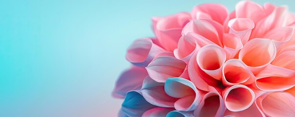 Floral illustration abstract background idea. A stunning pink flower with soft petals against a serene blue background.