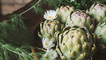 Vintage Botanical Illustration of Italian Artichokes – Rustic Farmhouse Wall Decor