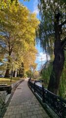 Autumn Pathway Along Canal with Golden Trees and Weeping Willow